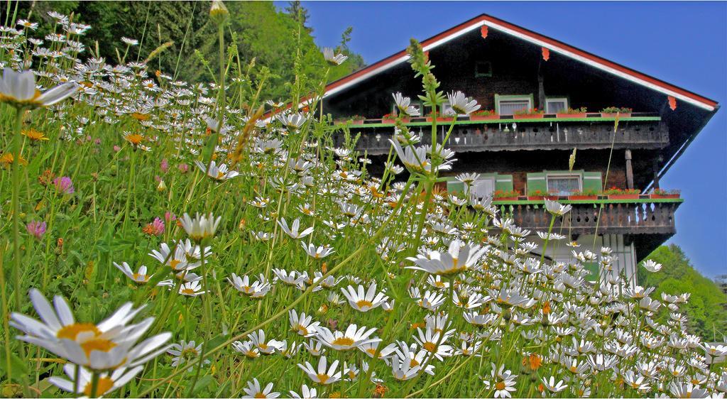 Gaestehaus Bergwald Берхтесгаден Екстер'єр фото